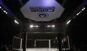 Bud Light Strikes Historic UFC Sponsorship Deal